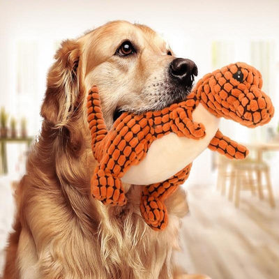 Pets interactive toys